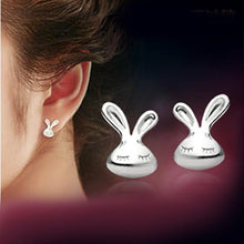Load image into Gallery viewer, Earrings