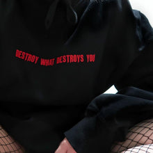 Load image into Gallery viewer, &#39;Destroy What Destroys You&#39; Hoodie