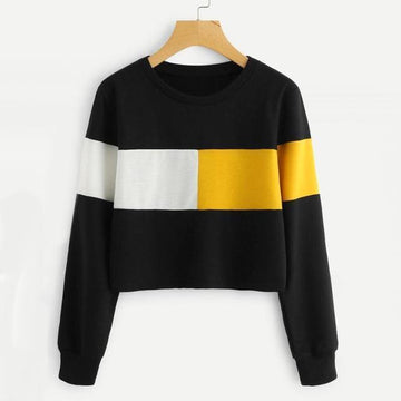 Tri Color Crop Sweatshirt