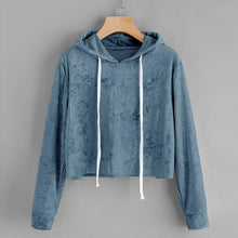 Load image into Gallery viewer, Velvet Crop Hoodie