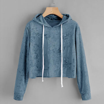 Velvet Crop Hoodie