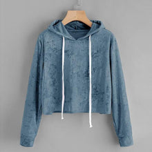 Load image into Gallery viewer, Velvet Crop Hoodie