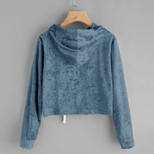 Load image into Gallery viewer, Velvet Crop Hoodie