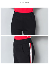 Load image into Gallery viewer, Striped Harem Pants