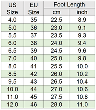 Load image into Gallery viewer, chart
