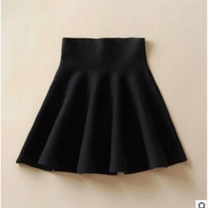 A-Line Pleated Skirt