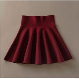 A-Line Pleated Skirt