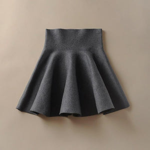 A-Line Pleated Skirt