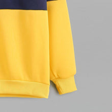 Load image into Gallery viewer, Two Tone Striped Sweatshirt
